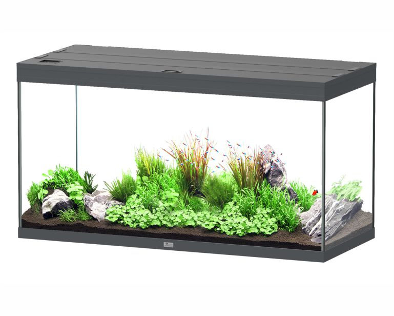 Aquatlantis Aquarium Splendid 120X50 Ultra Pro Anthraciet