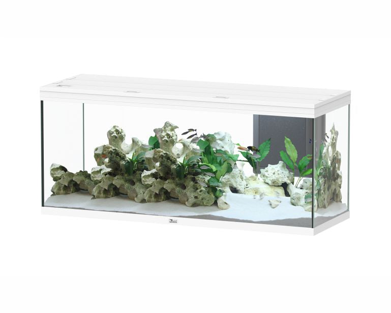 Aquatlantis Aquarium Splendid 150X50 Ultra Biobox Wit