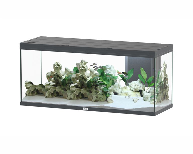 Aquatlantis Aquarium Splendid 150X50 Ultra Biobox Anthraciet