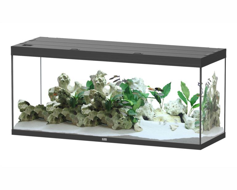 Aquatlantis Aquarium Splendid 150X50 Ultra Pro Zwart