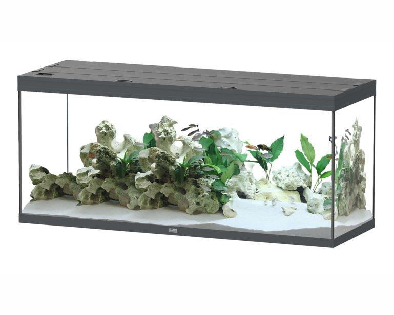 Aquatlantis Aquarium Splendid 150X50 Ultra Pro Anthraciet