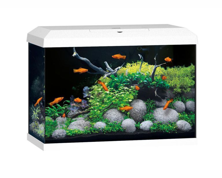 Juwel Aquarium Primo 70 2.0 Wit