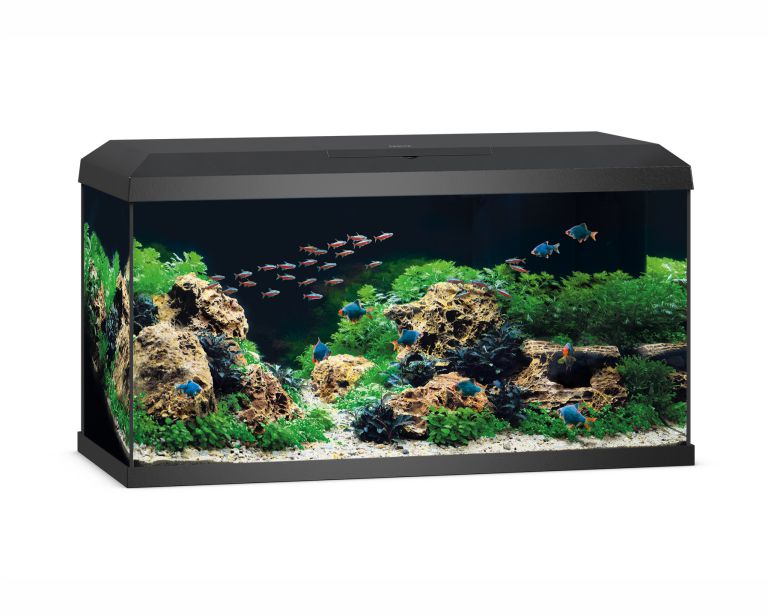Juwel Aquarium Primo 110 2.0 Zwart