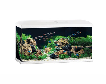 Juwel Aquarium Primo 110 2.0 Wit