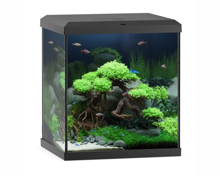 Juwel Aquarium Vio Cube 54 Zwart