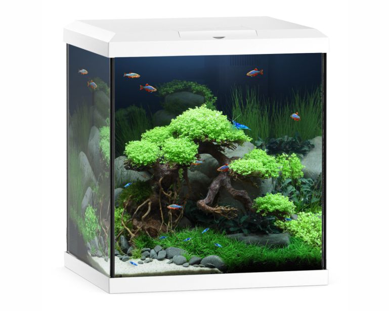 Juwel Aquarium Vio Cube 54 Wit