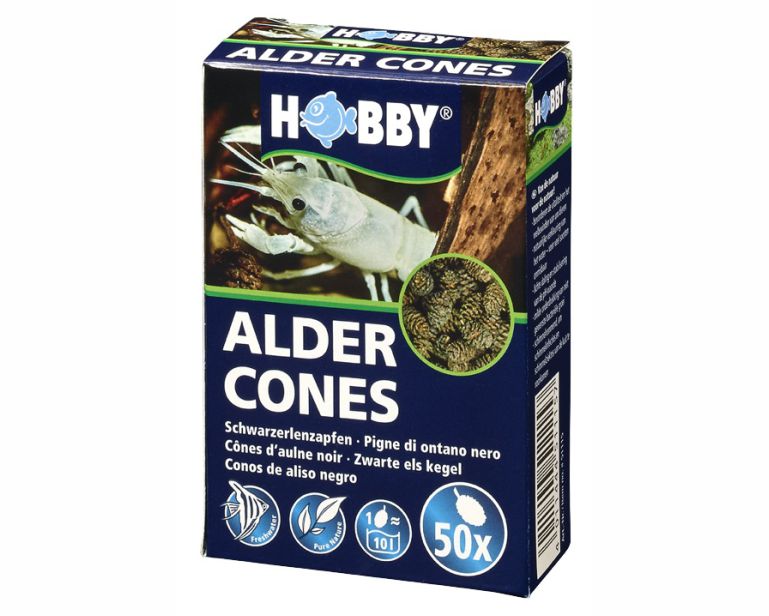 Hobby Alder Cones 50 St