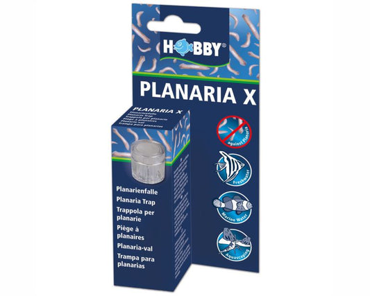 Hobby Planaria X