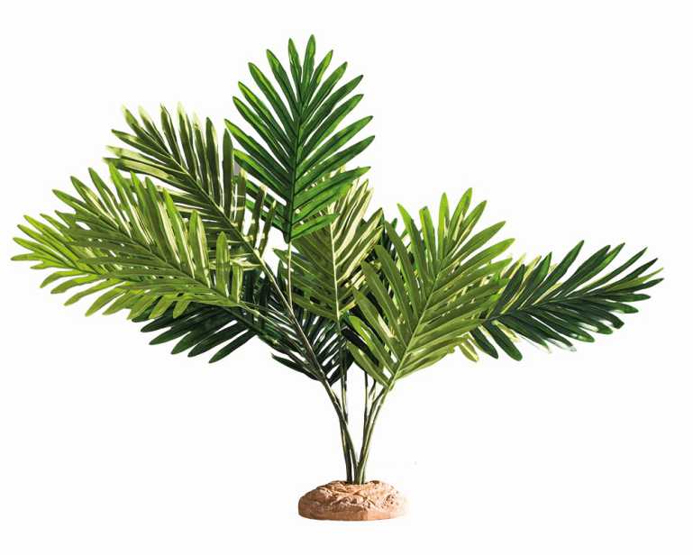 Hobby Terrano Palm/Palme 60X40X55 CM
