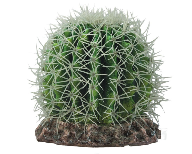 Hobby Terrano Cactus Sonora M 15X15X13 CM