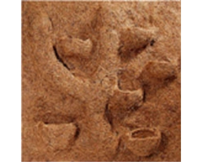 Hobby Terrano Kokosmodule 50X50 CM Per St.