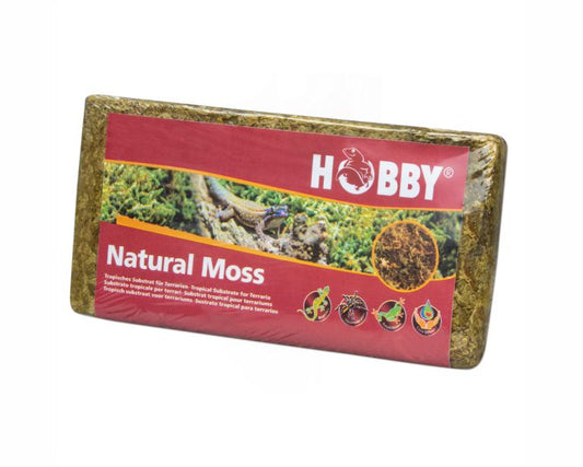 Hobby Terrano Natural Moss 100 G