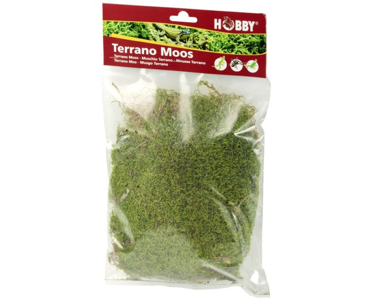 Hobby Terrano Mosdecoratie