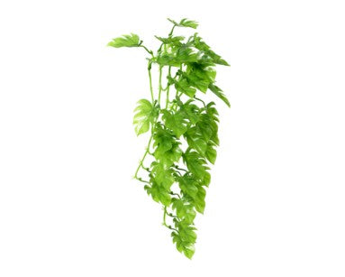 Hobby Terrano Climber Philo, Hangend, 37 CM