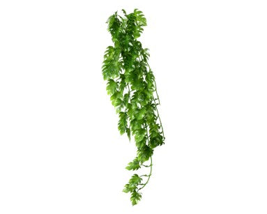 Hobby Terrano Climber Philo, Hangend, 70 CM