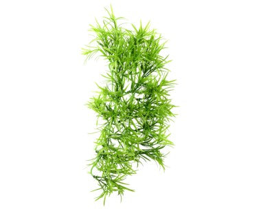 Hobby Terrano Climber Tropica, Hangend, 37 CM