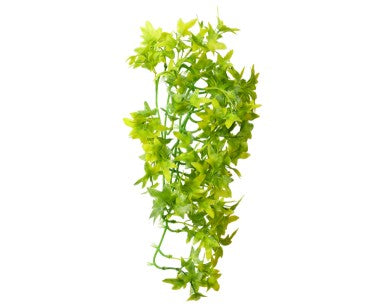 Hobby Terrano Climber Ivy, Hangend, 37 CM