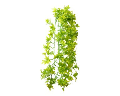 Hobby Terrano Climber Ivy, Hangend, 70 CM