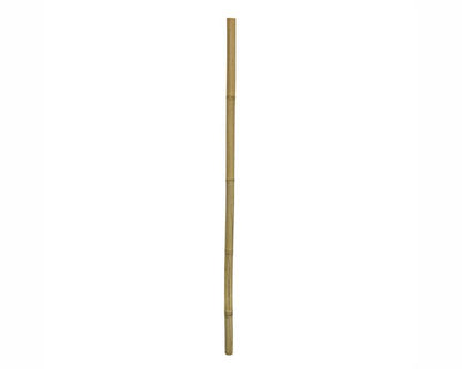 Hobby Terrano Bamboo Stix 100 CM Ø 2-3 CM