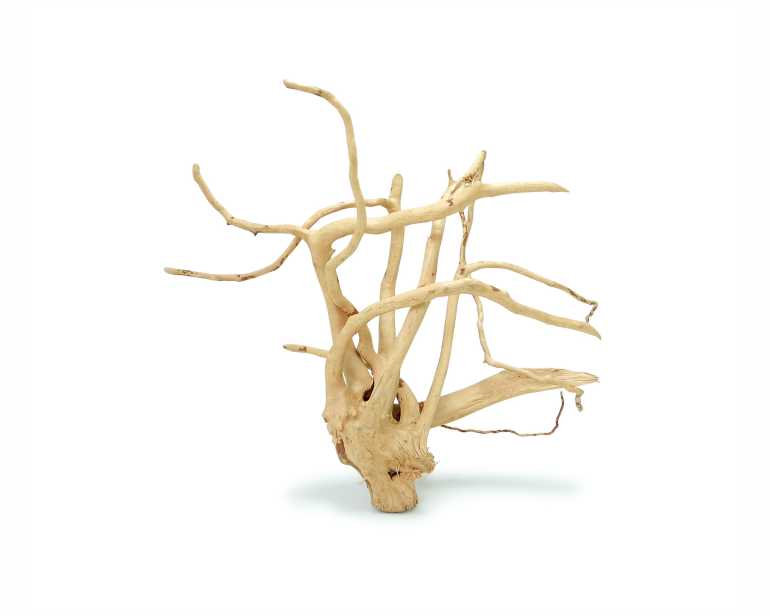 Hs Aqua Spider Wood XS 10-20 CM