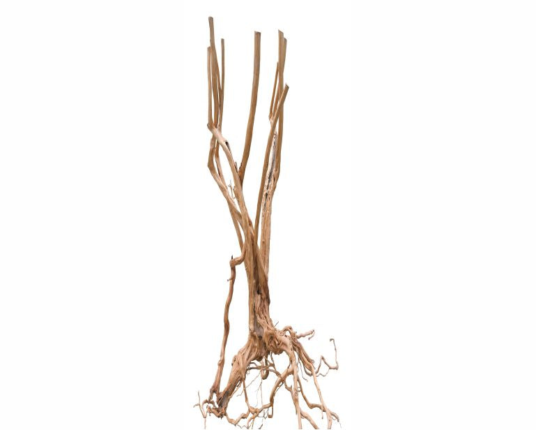 Hs Aqua Wood Stump 100 CM Per KG