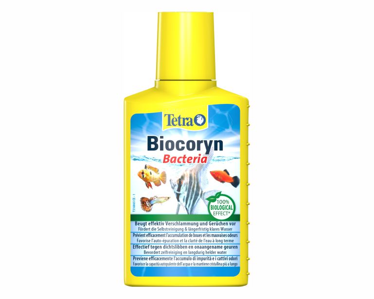 Tetra Biocoryn Bacteria 100 ML