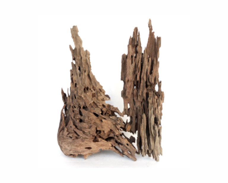 Wabi Kusa Honeycomb Wood 5-12 CM Per 2 St.