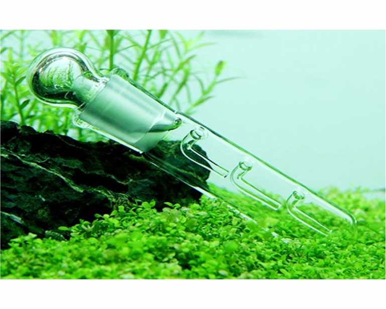Hs Aqua Glazen Slakkenval