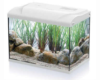 Hs Aqua Aquarium Coldy 20 LED Wit 39X22X30 CM