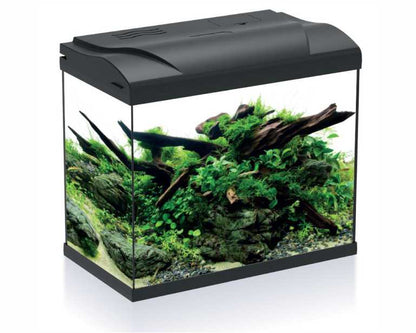 Hs Aqua Aquarium Platy 30 LED Zwart 39X22X36 CM