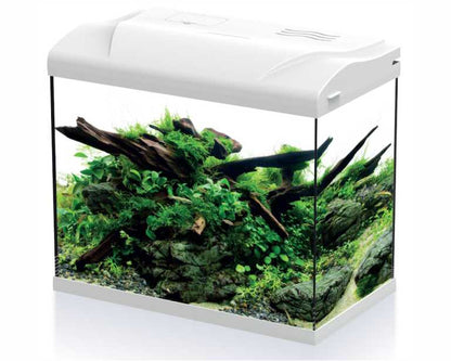 Hs Aqua Aquarium Platy 30 LED Wit 39X22X36 CM