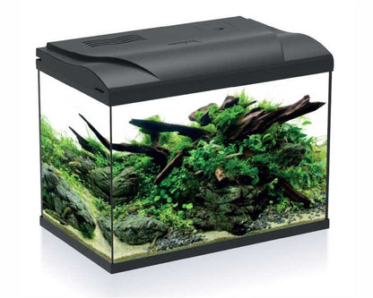 Hs Aqua Aquarium Platy 50 LED Zwart 49X31X38 CM