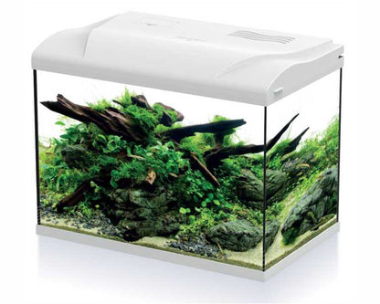 Hs Aqua Aquarium Platy 50 LED Wit 49X31X38 CM