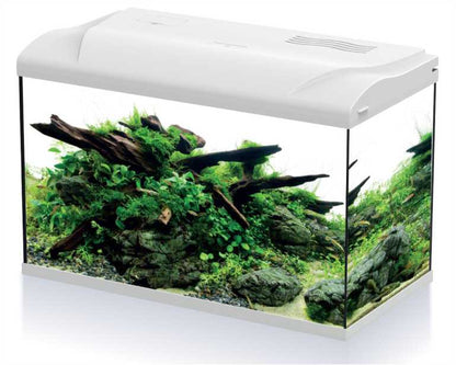 Hs Aqua Aquarium Platy 70 LED Wit 59X31X39 CM
