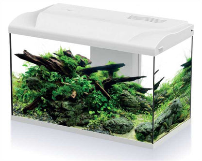 Hs Aqua Aquarium Platy Bio 70 LED Wit 59X31X39 CM
