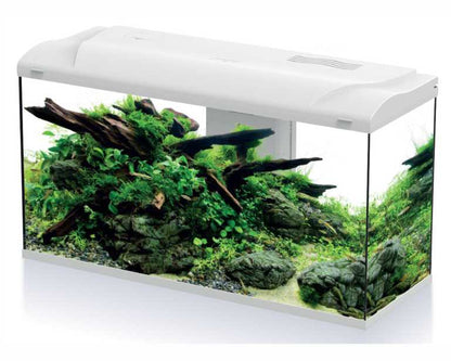 Hs Aqua Aquarium Platy Bio 110 LED Wit 80X31X46 CM