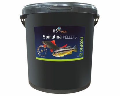Hs Aqua Spirulina Pellets S 20 L