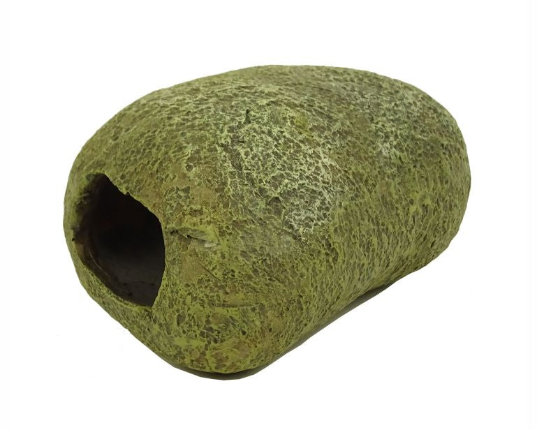 Blue Belle Pacific Stone Cave 2 14X11.7X7.6 CM