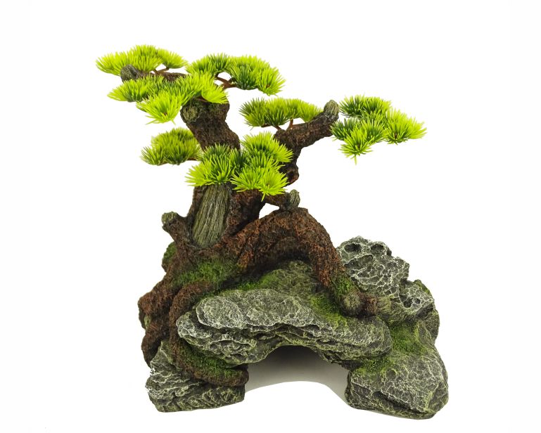 Blue Belle Pacific Bonsai Wonder 1 24.3X21.8X24.5 CM