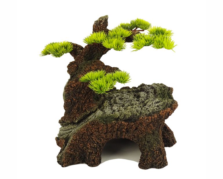 Blue Belle Pacific Bonsai Wonder 2 21.1X17.4X22.4 CM