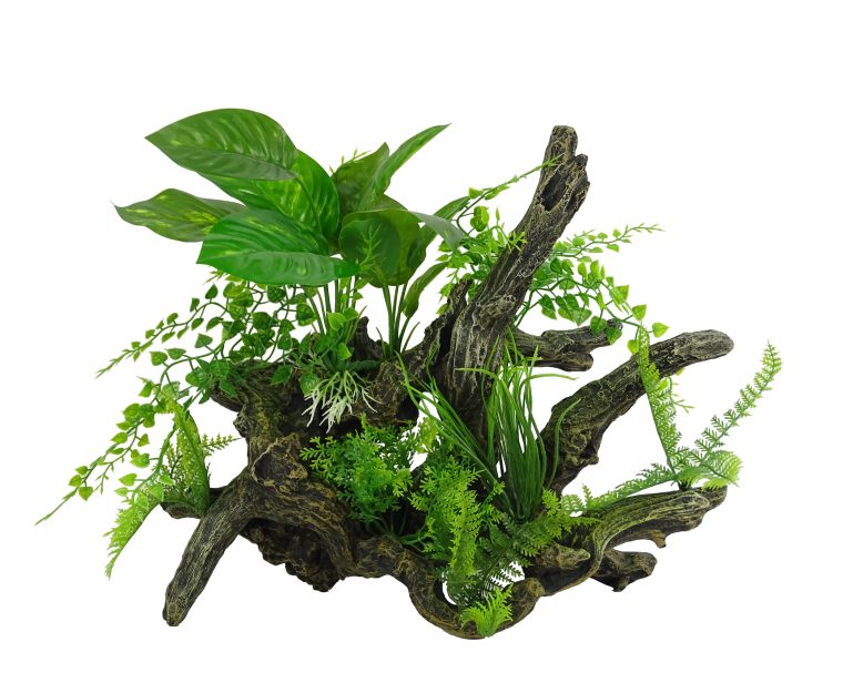 Blue Belle Pacific Aquascape 1 33X14.6X28.5 CM
