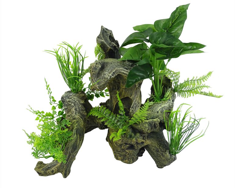 Blue Belle Pacific Aquascape 6 28.6X21.4X27.7 CM
