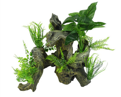 Blue Belle Pacific Aquascape 6 28.6X21.4X27.7 CM