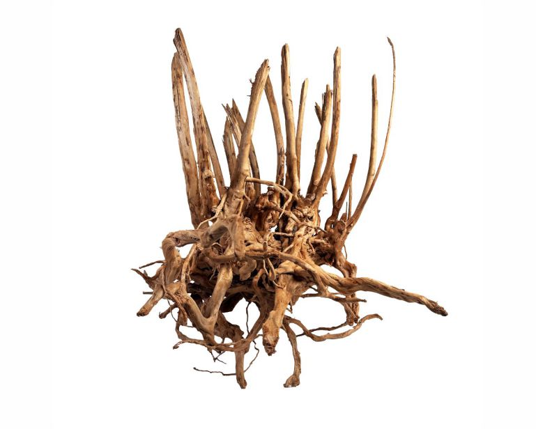 Wio Insengard Wood L-XL-XXL (50-70Cm) P. KG