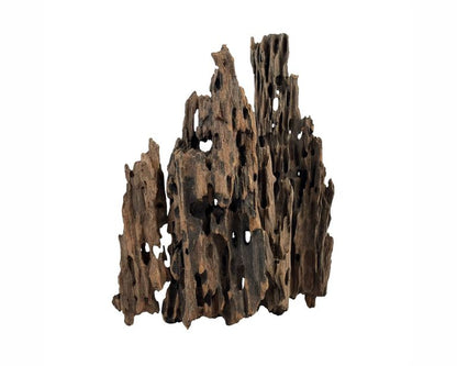 Wio Dragonscale Wood M 20-30 CM