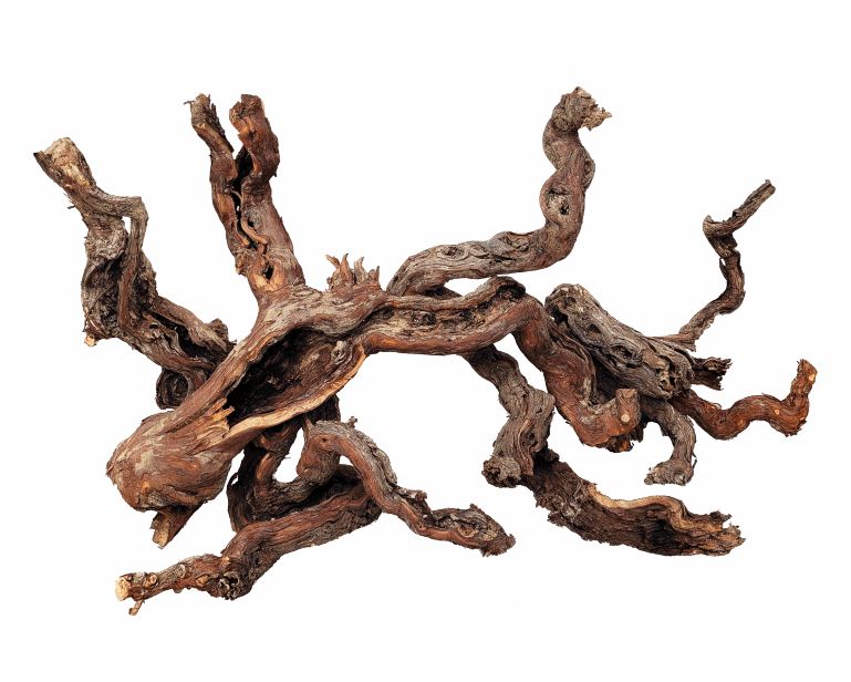 Wio Centurion Wood S 10-20 CM