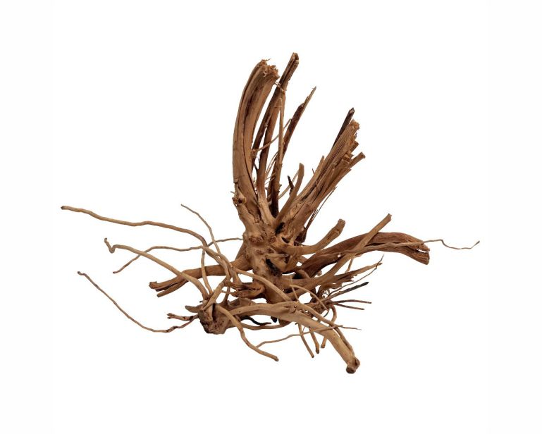 Wio Blondspider Wood M 20-30 CM