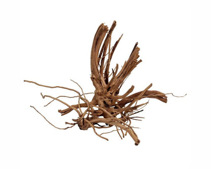 Wio Blondspider Wood M 20-30 CM