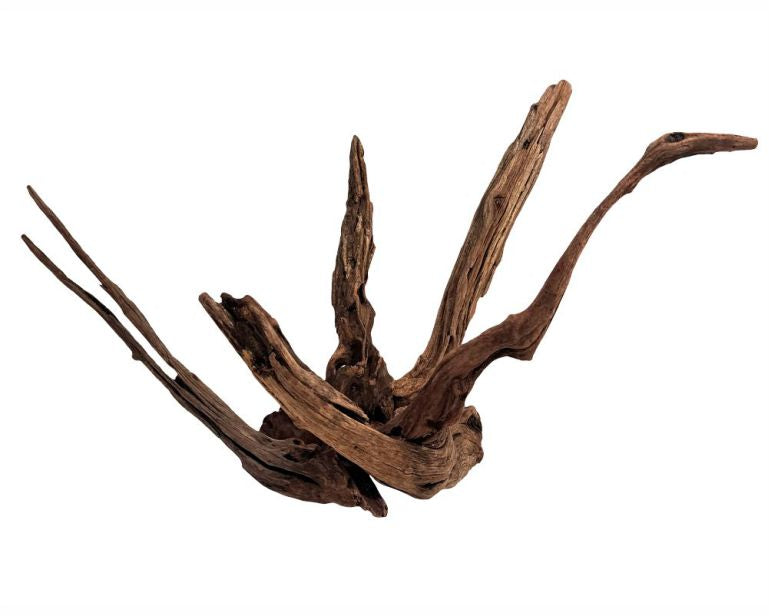Wio Longhorn Wood M 20-30 CM