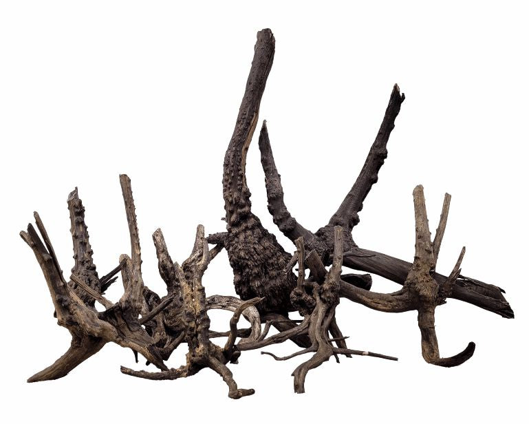 Wio Black Tree Trunk Wood M 20-30 CM